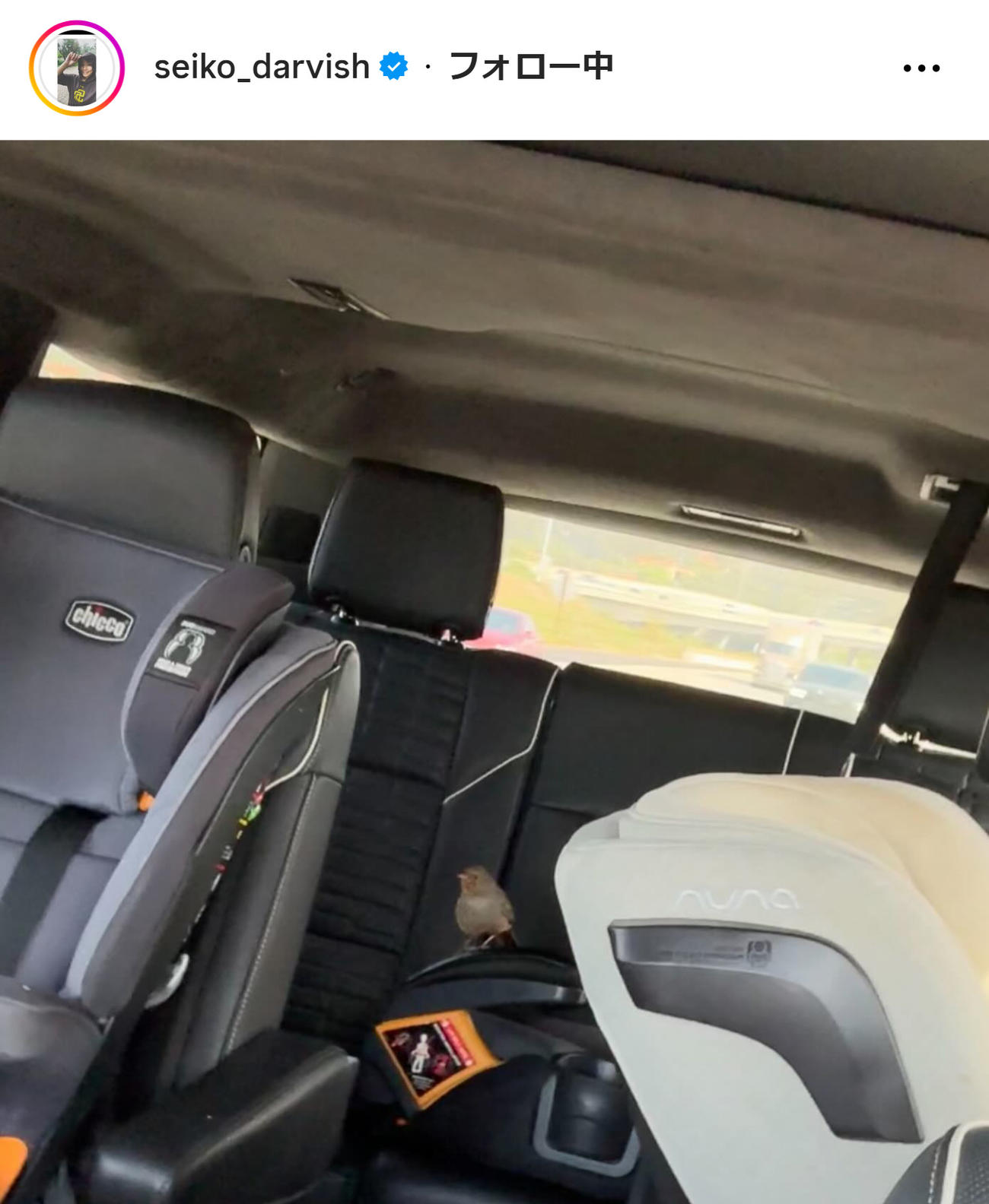 山本聖子さんのインスタグラムから