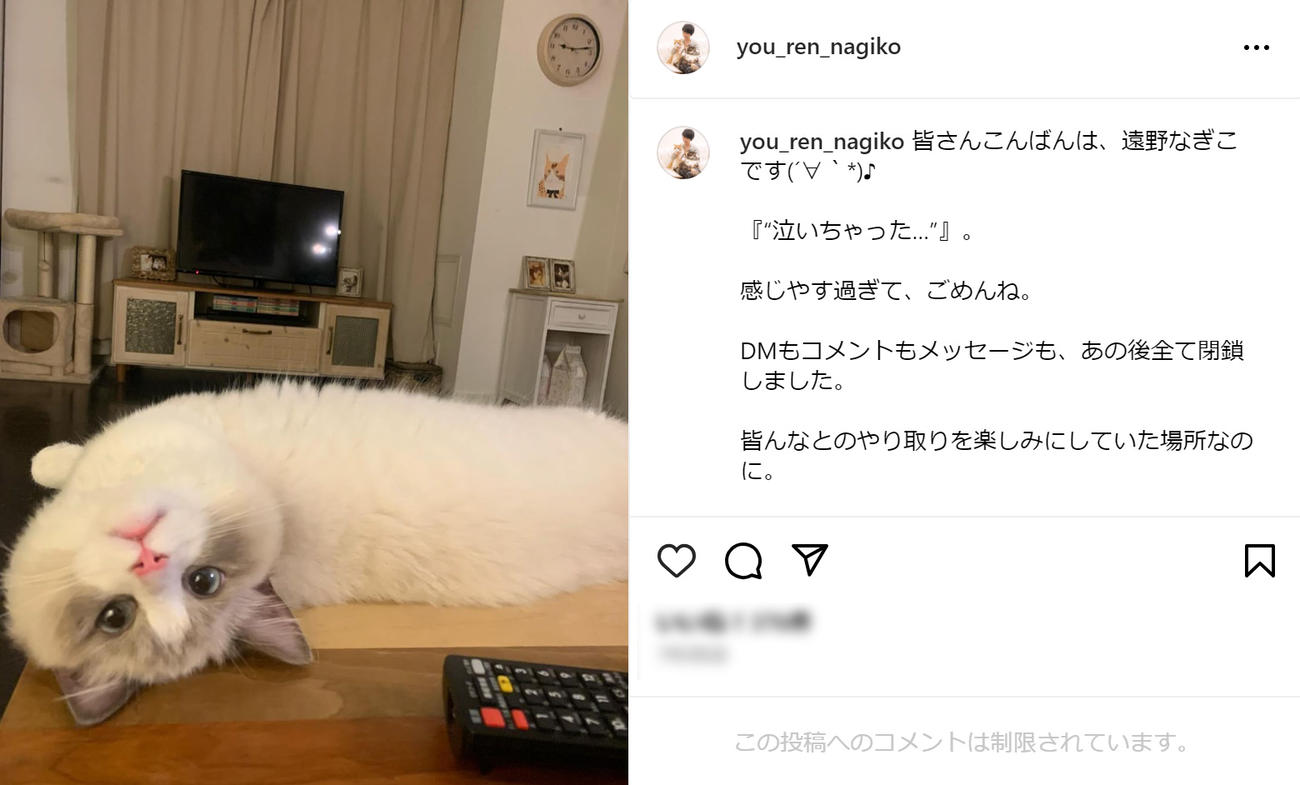 コメント欄が制限された遠野なぎこの投稿（遠野なぎこのインスタグラムから）