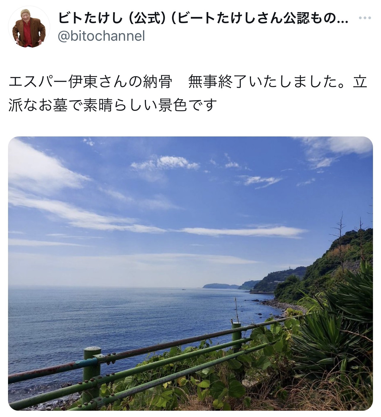 （ビトたけしのXから）