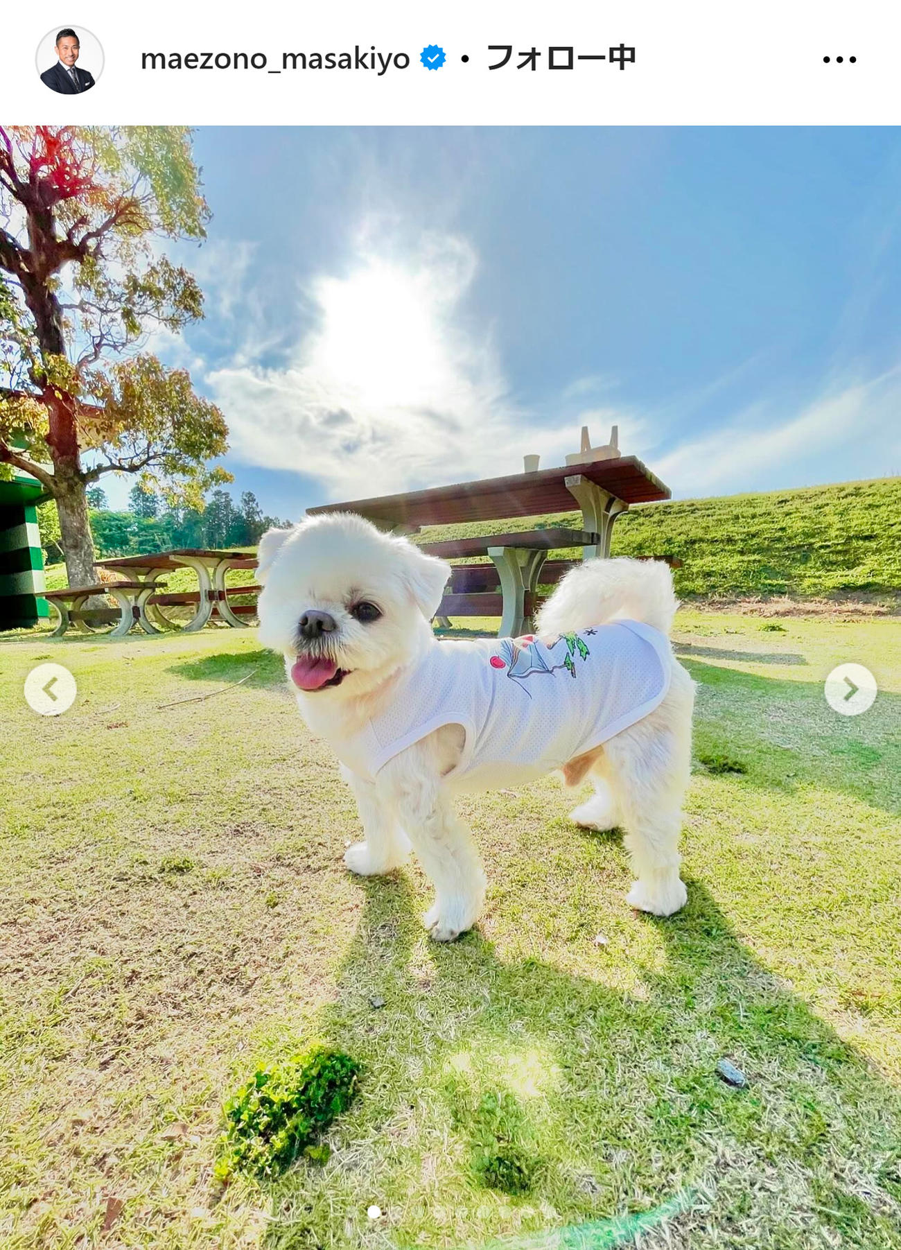 前園真聖のインスタグラムから