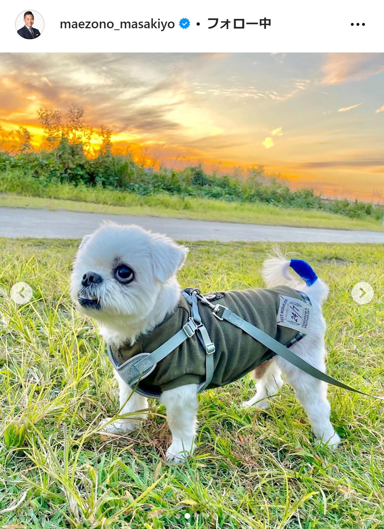 前園真聖のインスタグラムから