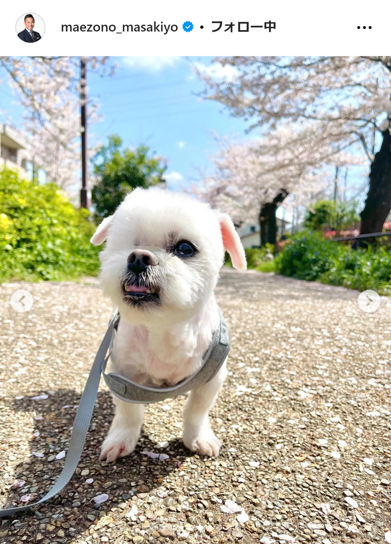 前園真聖のインスタグラムから