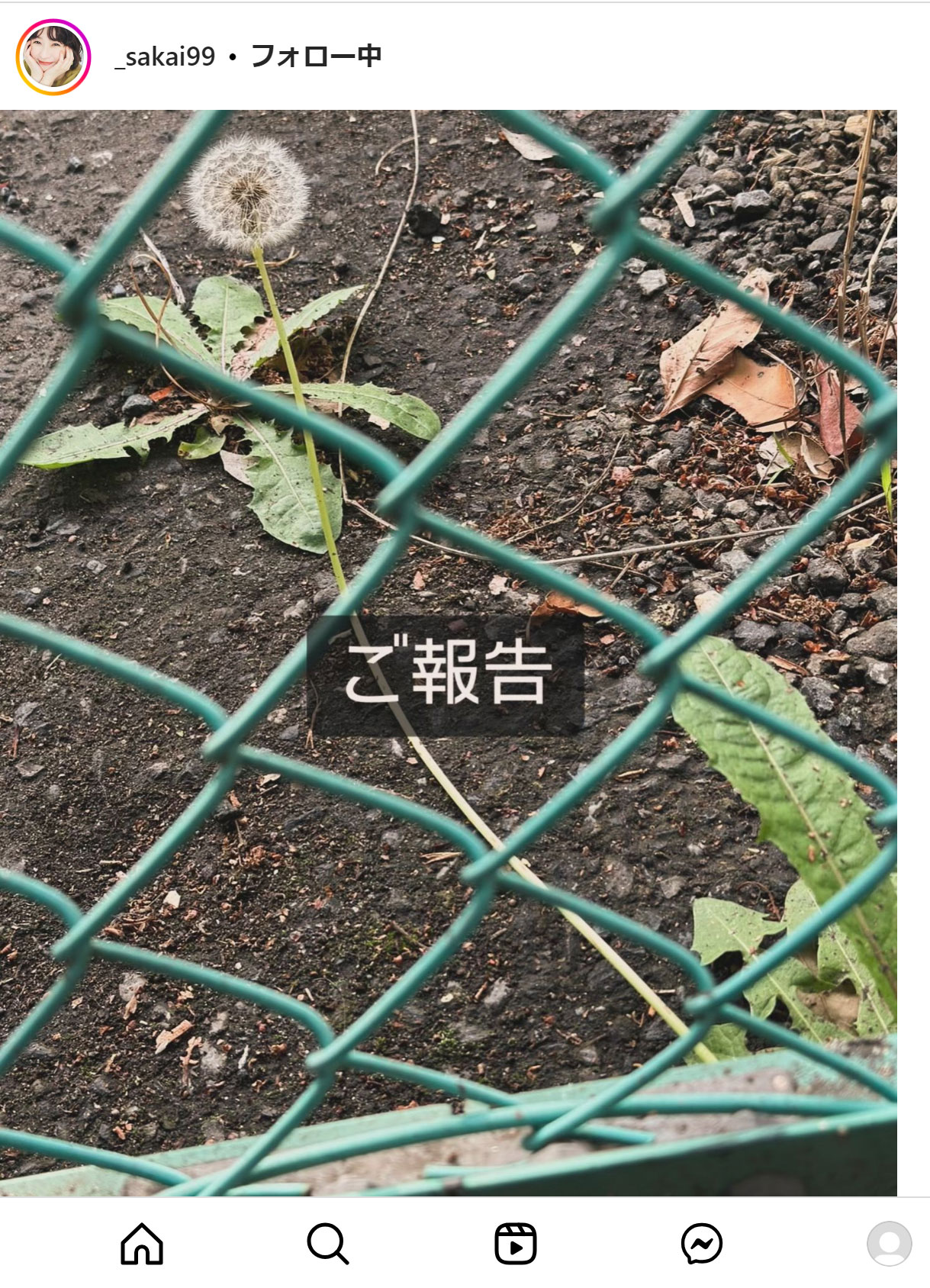 酒井若菜のインスタグラムから