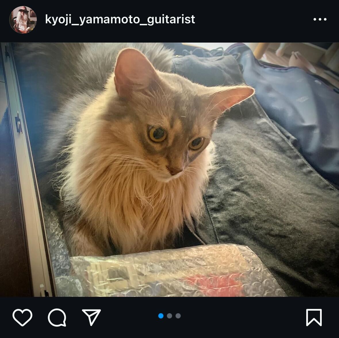 山本恭司インスタグラムから