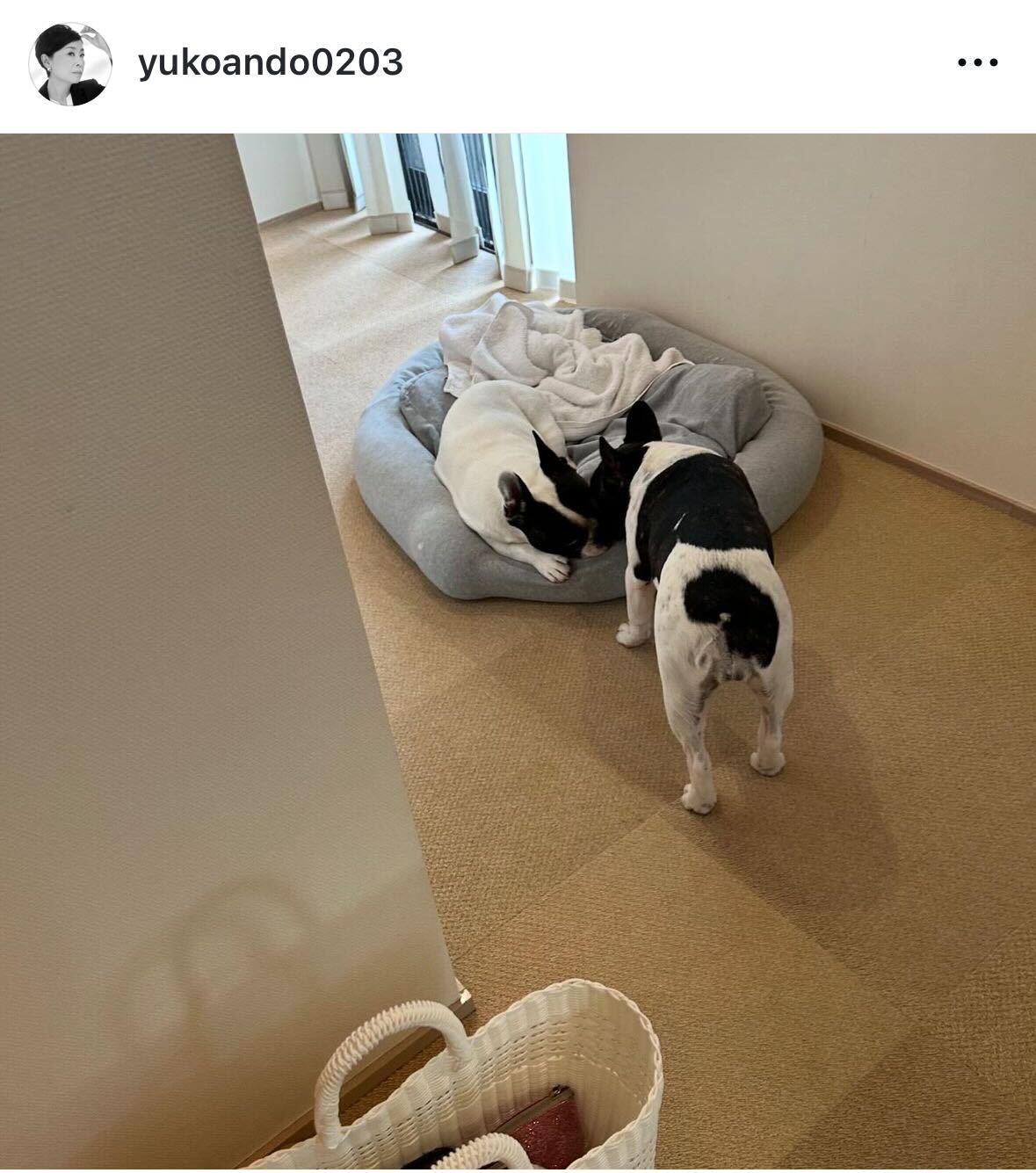 安藤優子のインスタグラムから