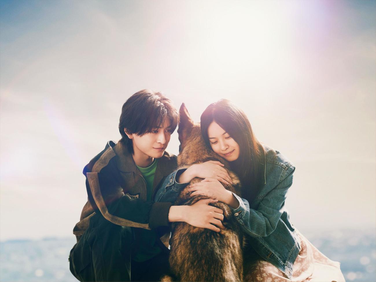 映画「少年と犬」にダブル主演する高橋文哉（左）と西野七瀬