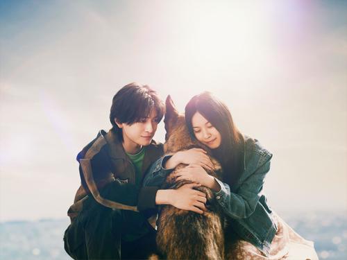 高橋文哉＆西野七瀬がダブル主演、来春公開の映画「少年と犬」直木賞に輝いた馳星周氏の小説原作