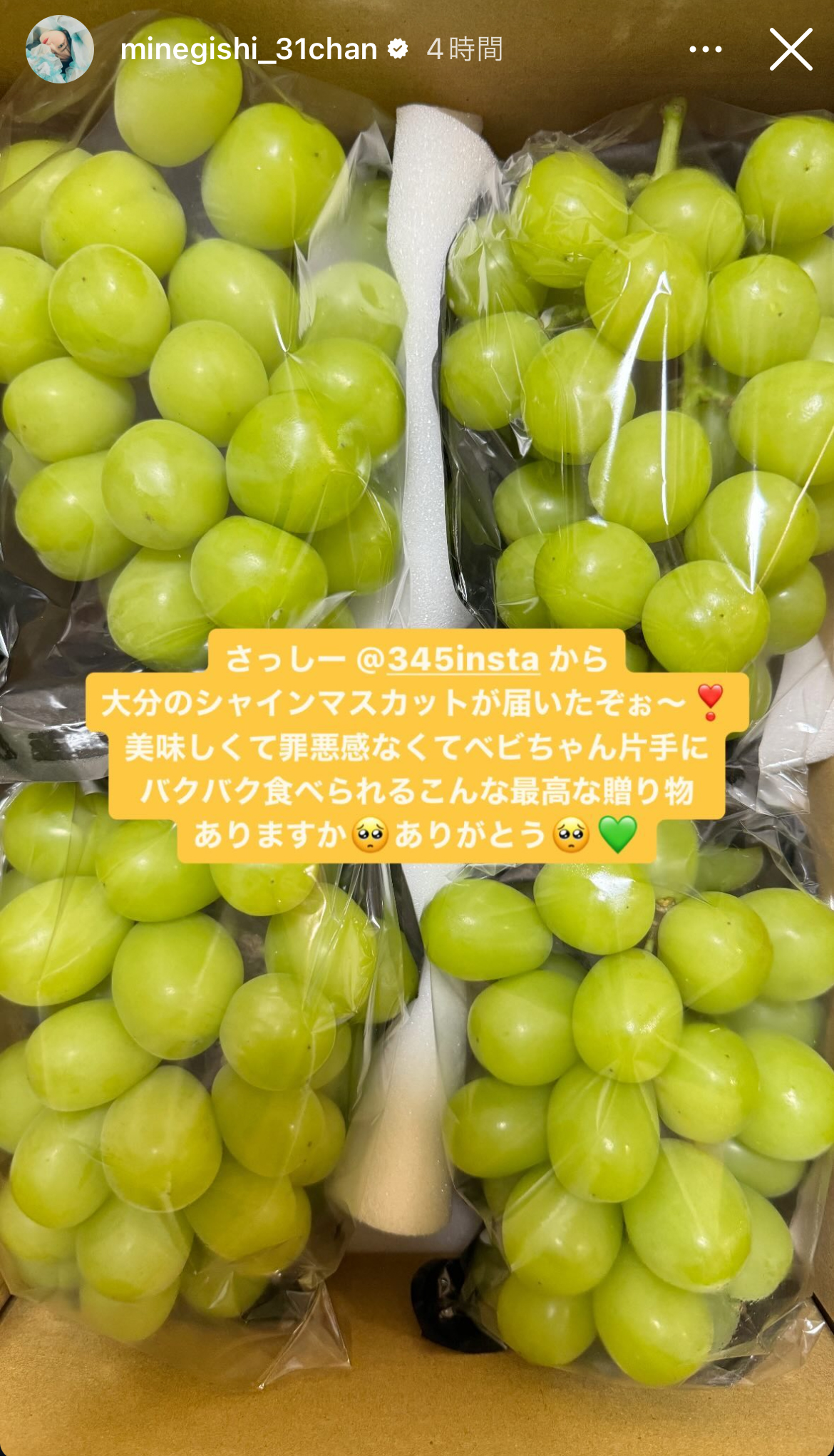 峯岸みなみのインスタグラムから
