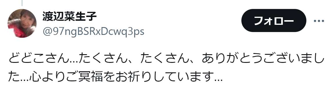 渡辺菜生子のX（旧Twitter）から