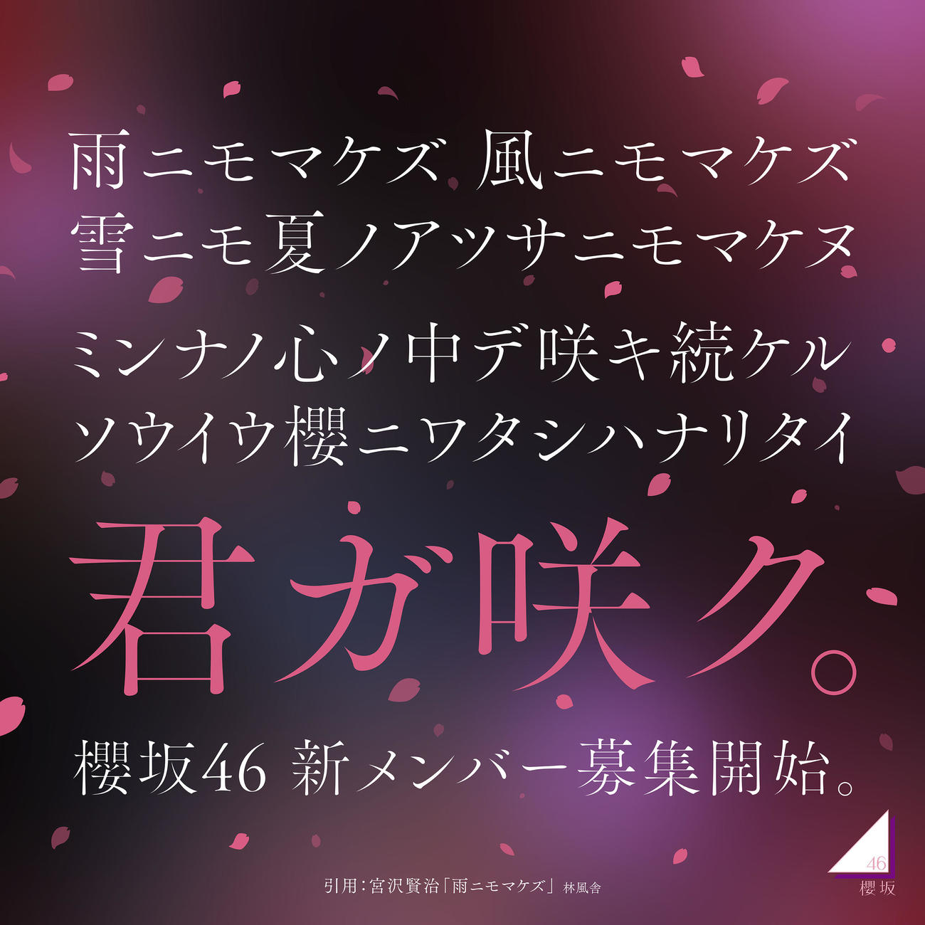 新メンバーオーディション開催を発表した櫻坂46