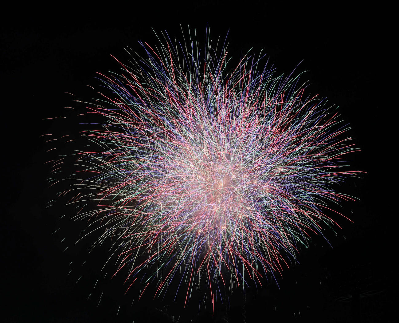 神宮の空を彩る花火（撮影・宮地輝）
