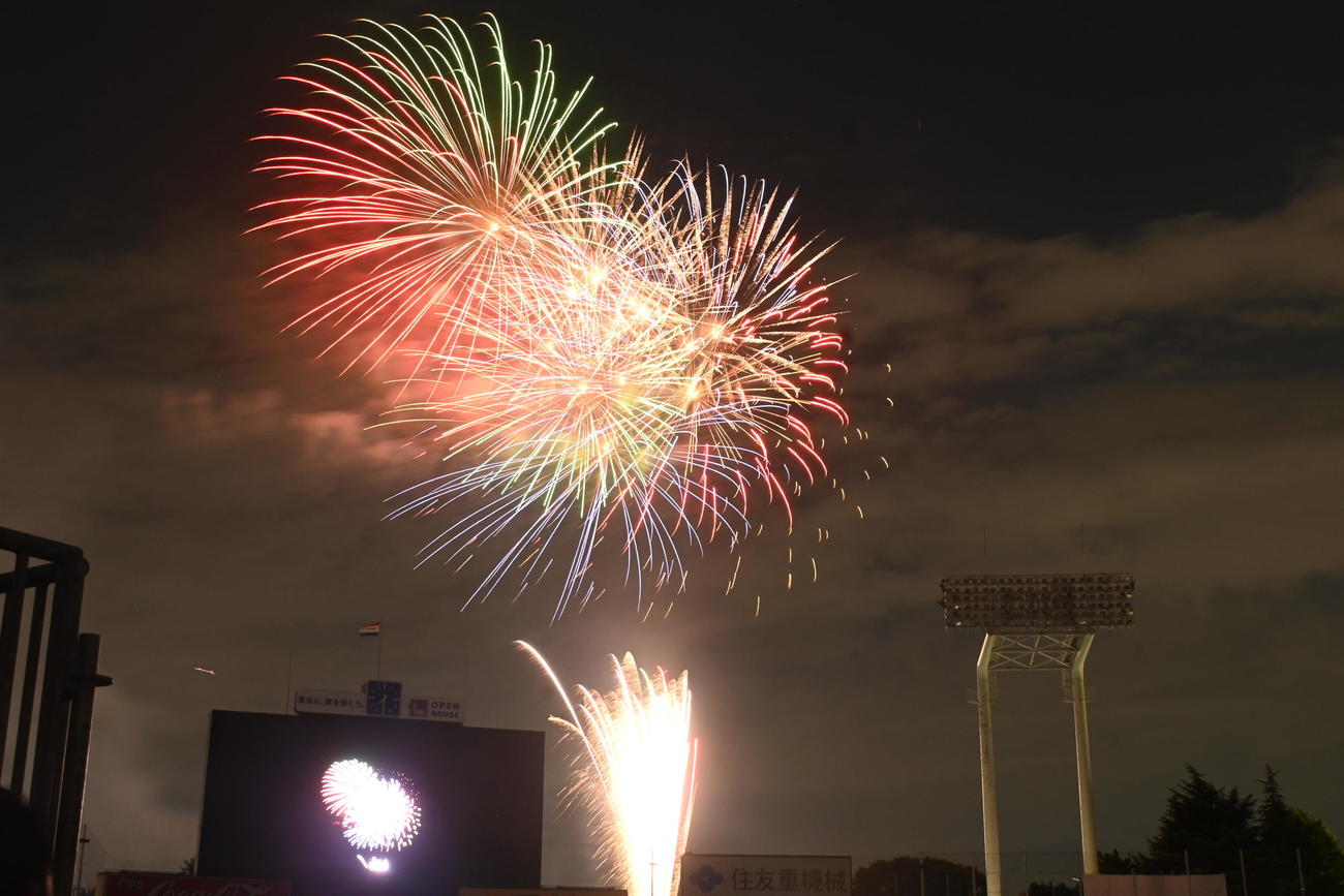夜空に舞い上がる花火