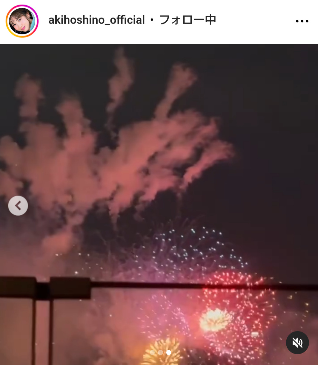 ほしのあきのインスタグラムから