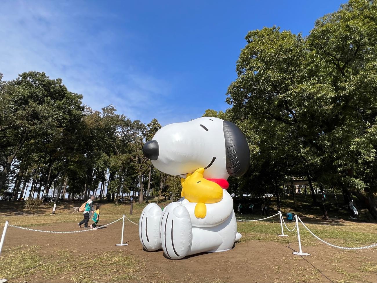 「ひなたフェス2024」とクリーンイベント「SNOOPY Loves NATURE　“Team up!”」がコラボレーションする