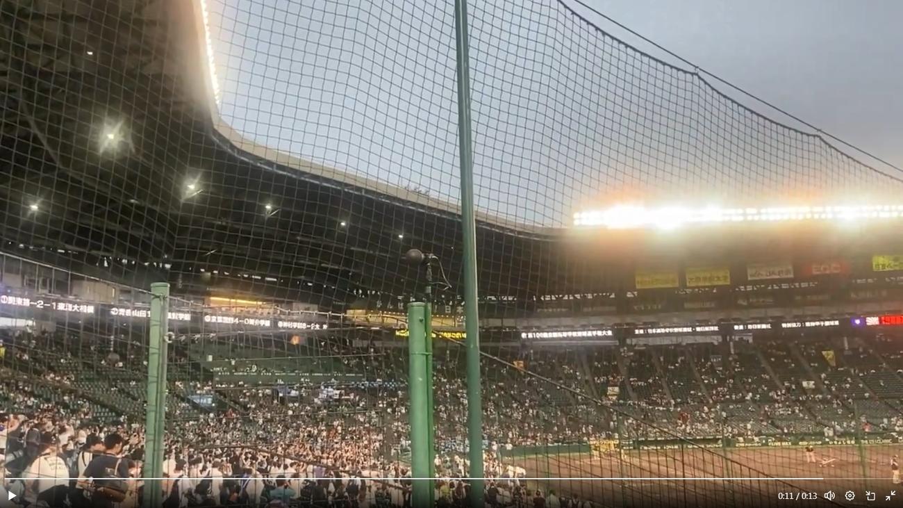 バチョフのXから