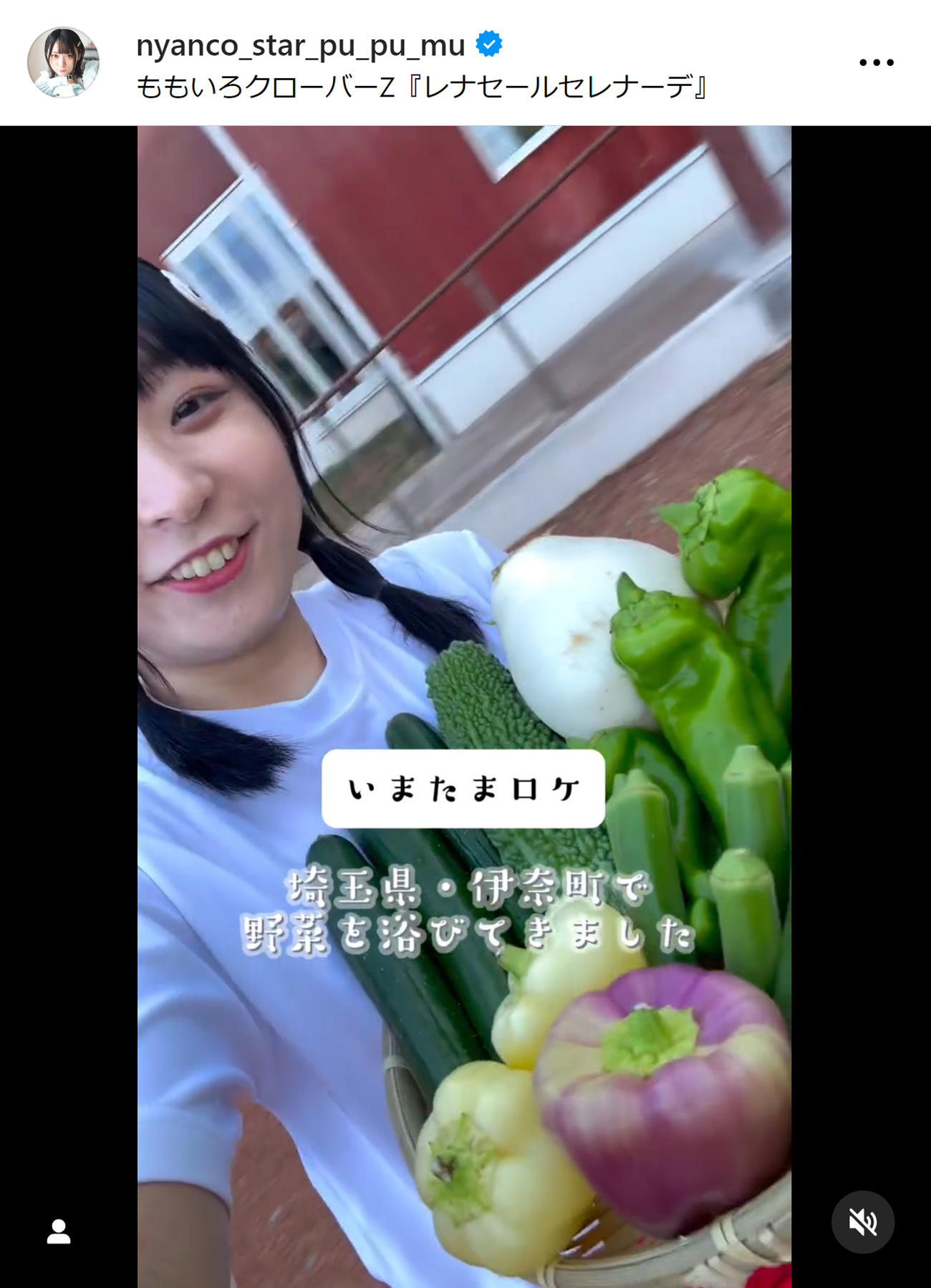アンゴラ村長のインスタグラムから