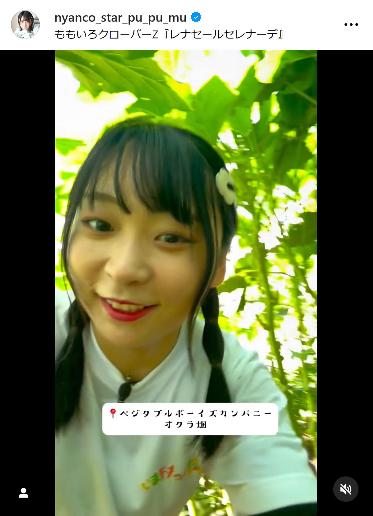 アンゴラ村長のインスタグラムから