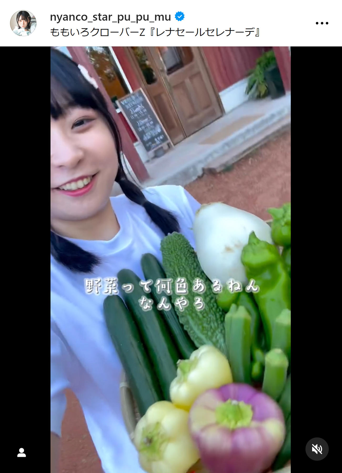 アンゴラ村長のインスタグラムから