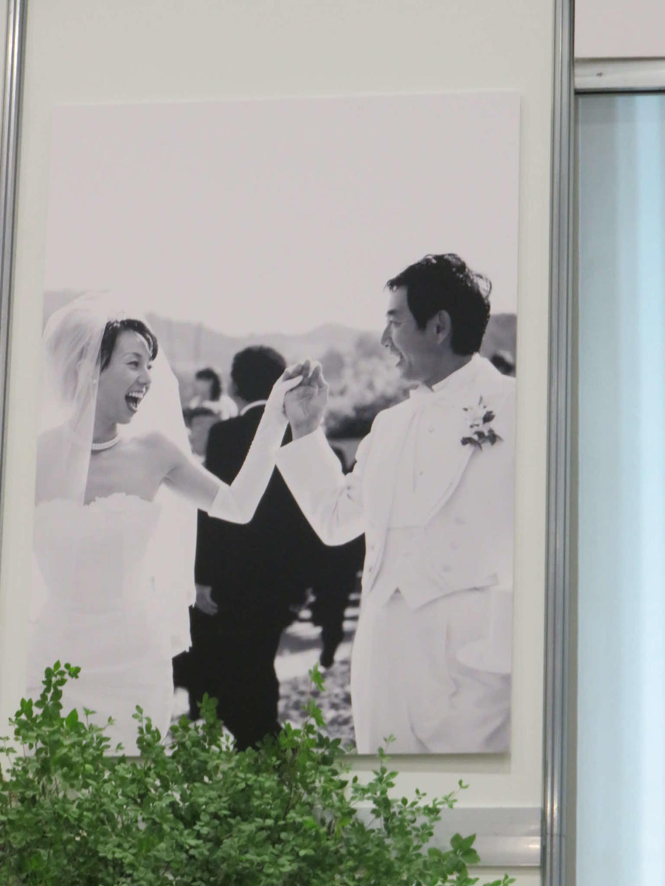 会場に飾られた理子夫人（左）と石田純一の結婚式の写真