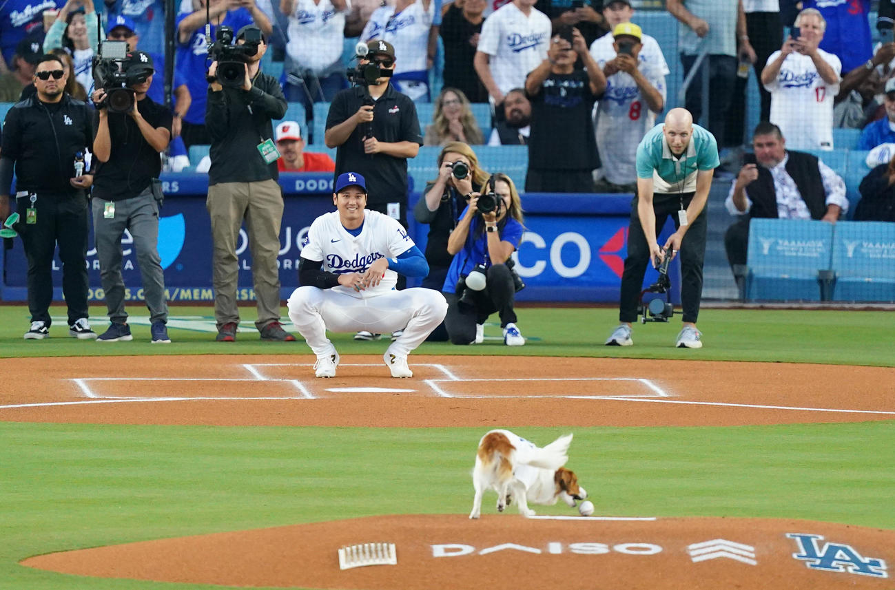 ドジャース対オリオールズ　始球式でマウンドでボールをくわえる愛犬デコピンを笑顔で見つめる大谷（撮影・菅敏）