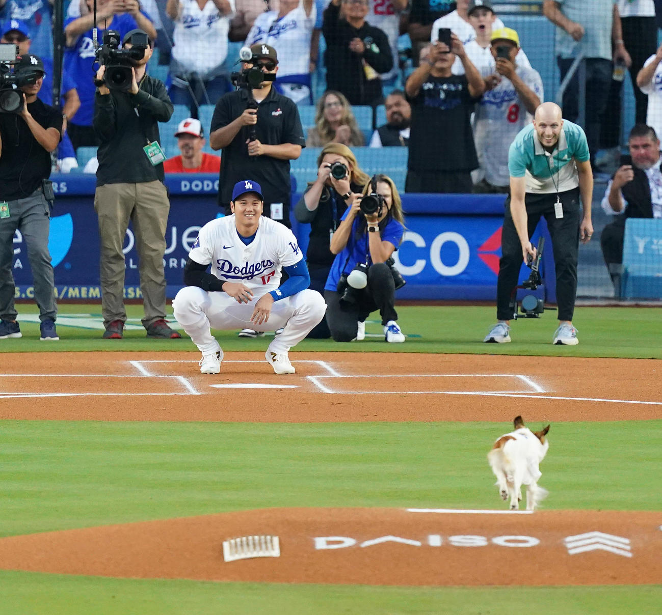 ドジャース対オリオールズ　始球式でボールをくわえ駆け寄る愛犬デコピンを笑顔で見つめる大谷（撮影・菅敏）