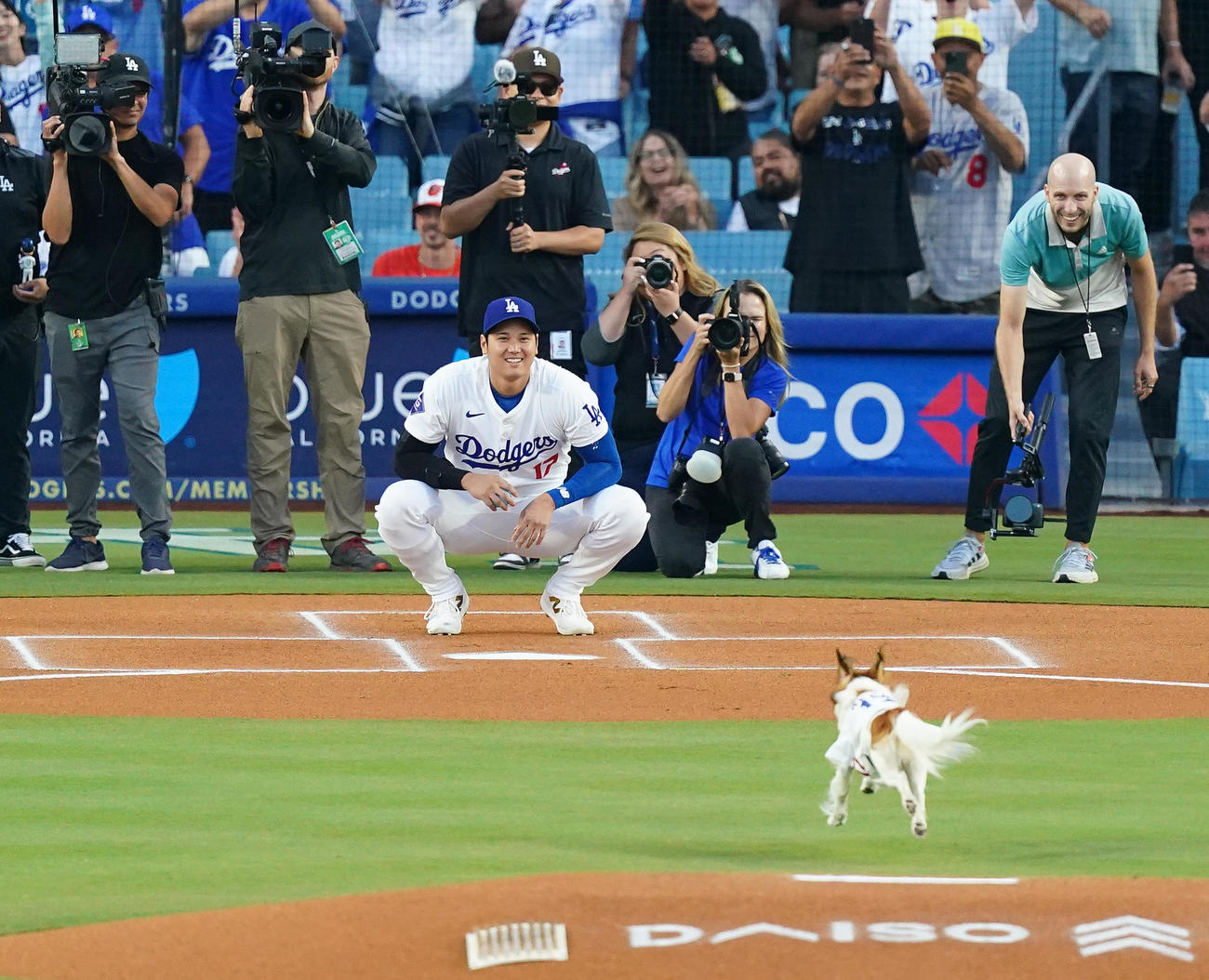 ドジャース対オリオールズ　始球式でボールをくわえ駆け寄る愛犬デコピンを笑顔で見つめる大谷（撮影・菅敏）