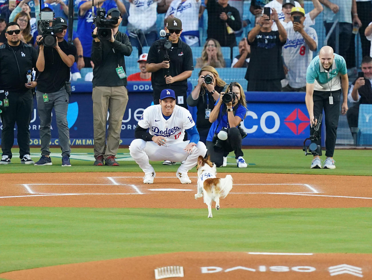 ドジャース対オリオールズ　始球式でボールをくわえ駆け寄る愛犬デコピンを笑顔で見つめる大谷（撮影・菅敏）