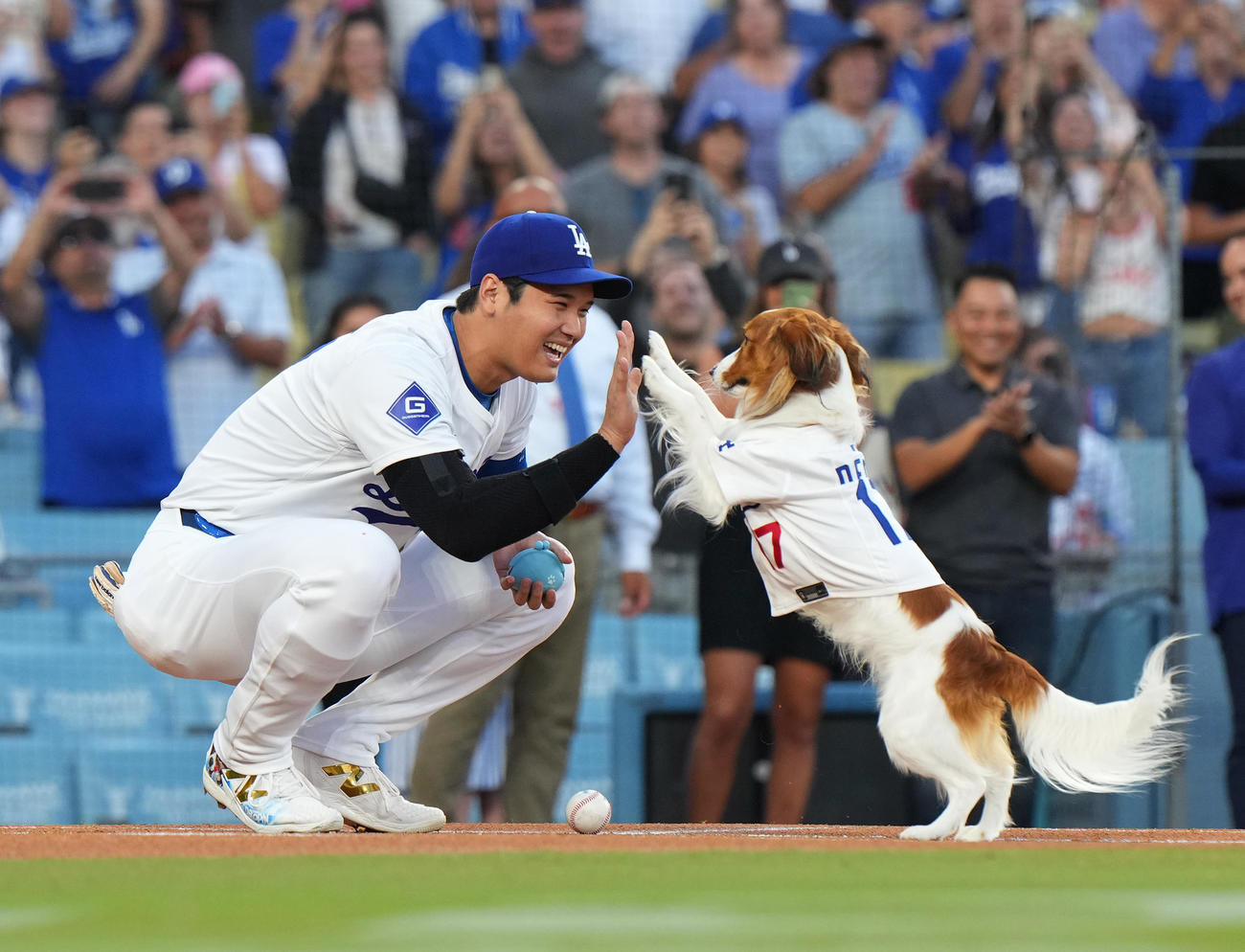 ドジャース対オリオールズ　始球式を務めた愛犬デコピンとタッチをする大谷（撮影・菅敏）