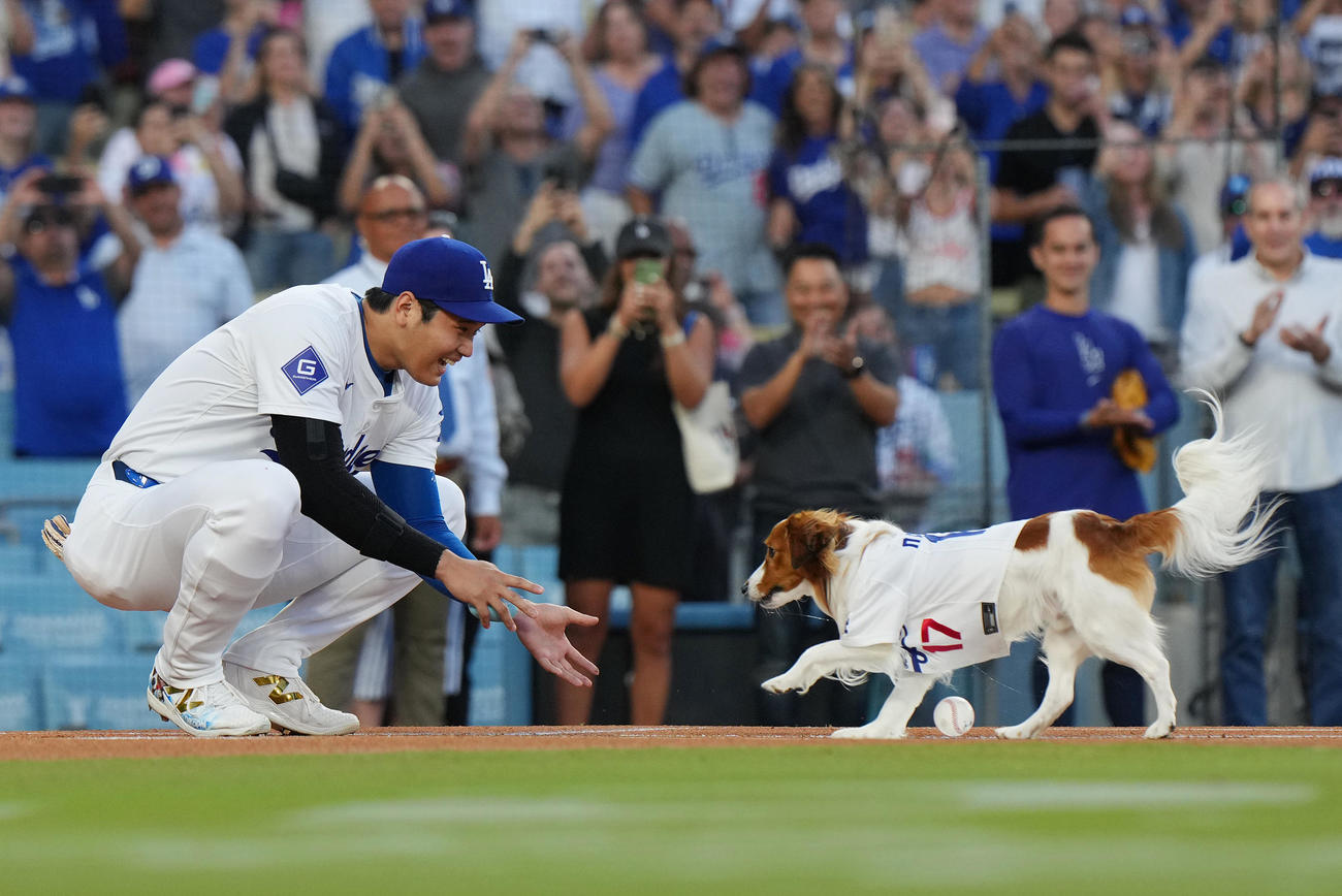 ドジャース対オリオールズ　始球式を務めた愛犬デコピンを笑顔で迎える大谷（撮影・菅敏）