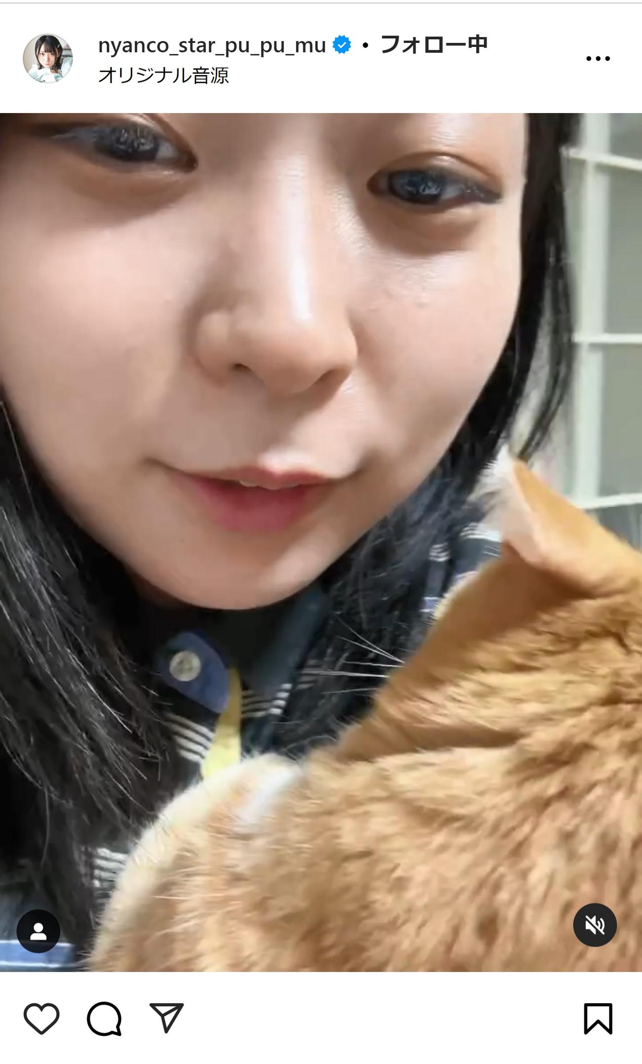 アンゴラ村長のインスタグラムから