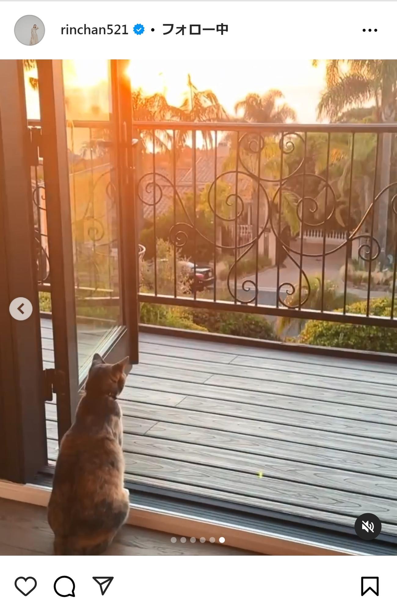 梨花のインスタグラムから