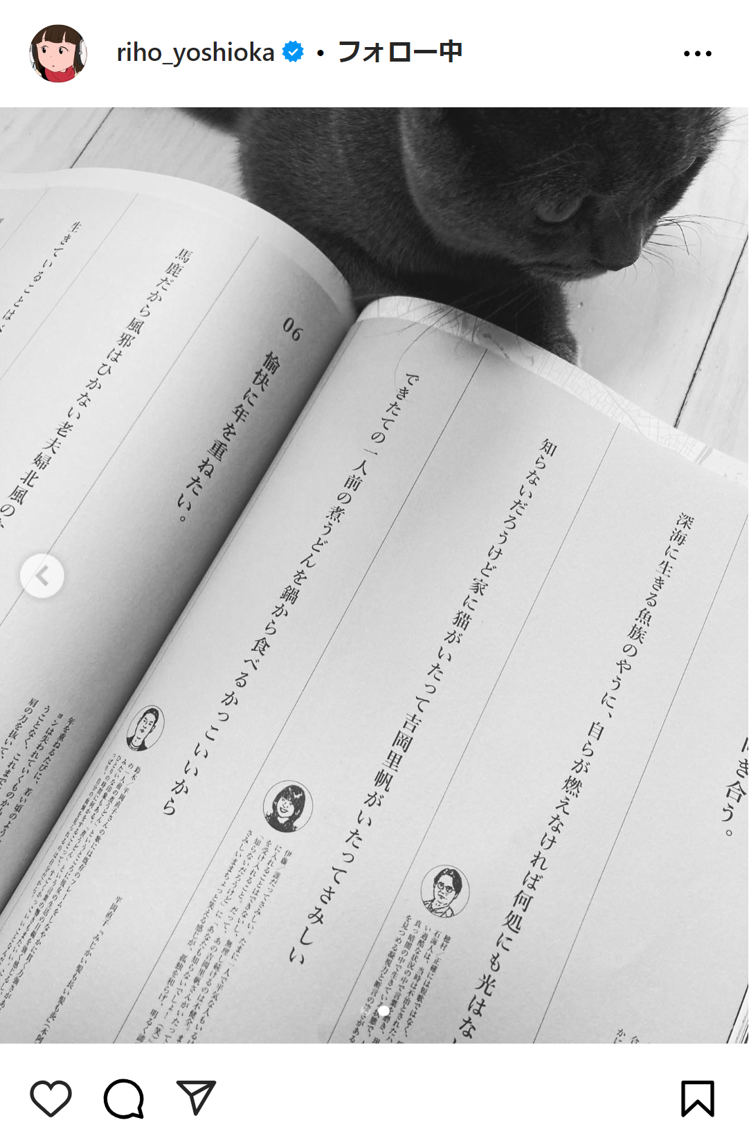 吉岡里帆のインスタグラムから