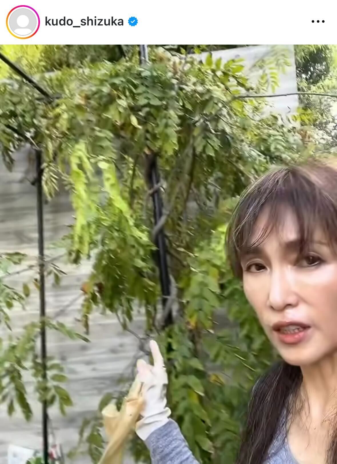 工藤静香のインスタグラムから
