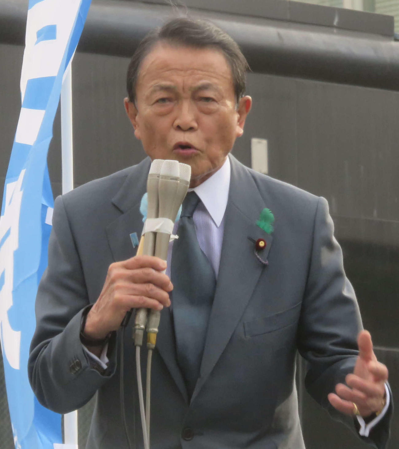 自民党の麻生太郎副総裁（23年4月撮影）