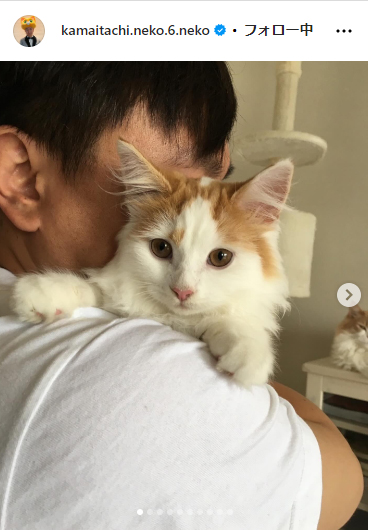 かまいたち山内と、猫たち、と犬のインスタグラムから