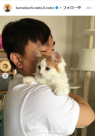 かまいたち山内と、猫たち、と犬のインスタグラムから