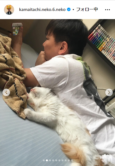 かまいたち山内と、猫たち、と犬のインスタグラムから