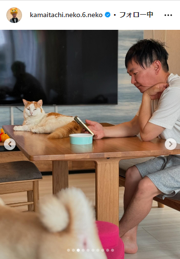かまいたち山内と、猫たち、と犬のインスタグラムから
