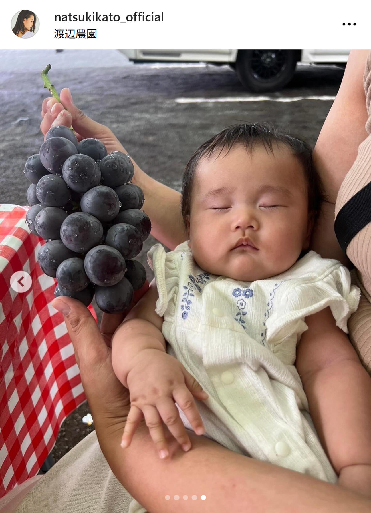 加藤夏希のインスタグラムから