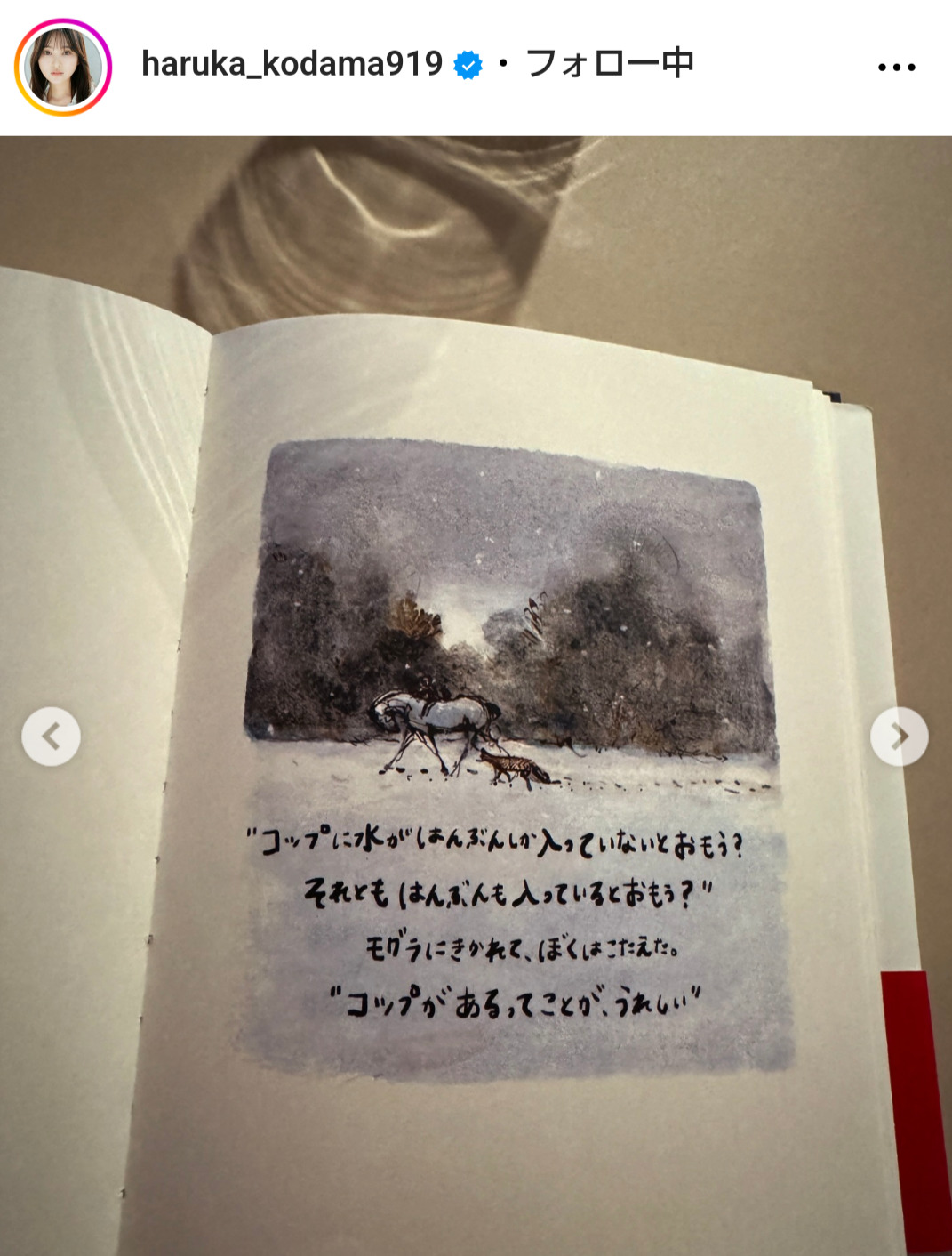 兒玉遥のインスタグラムから
