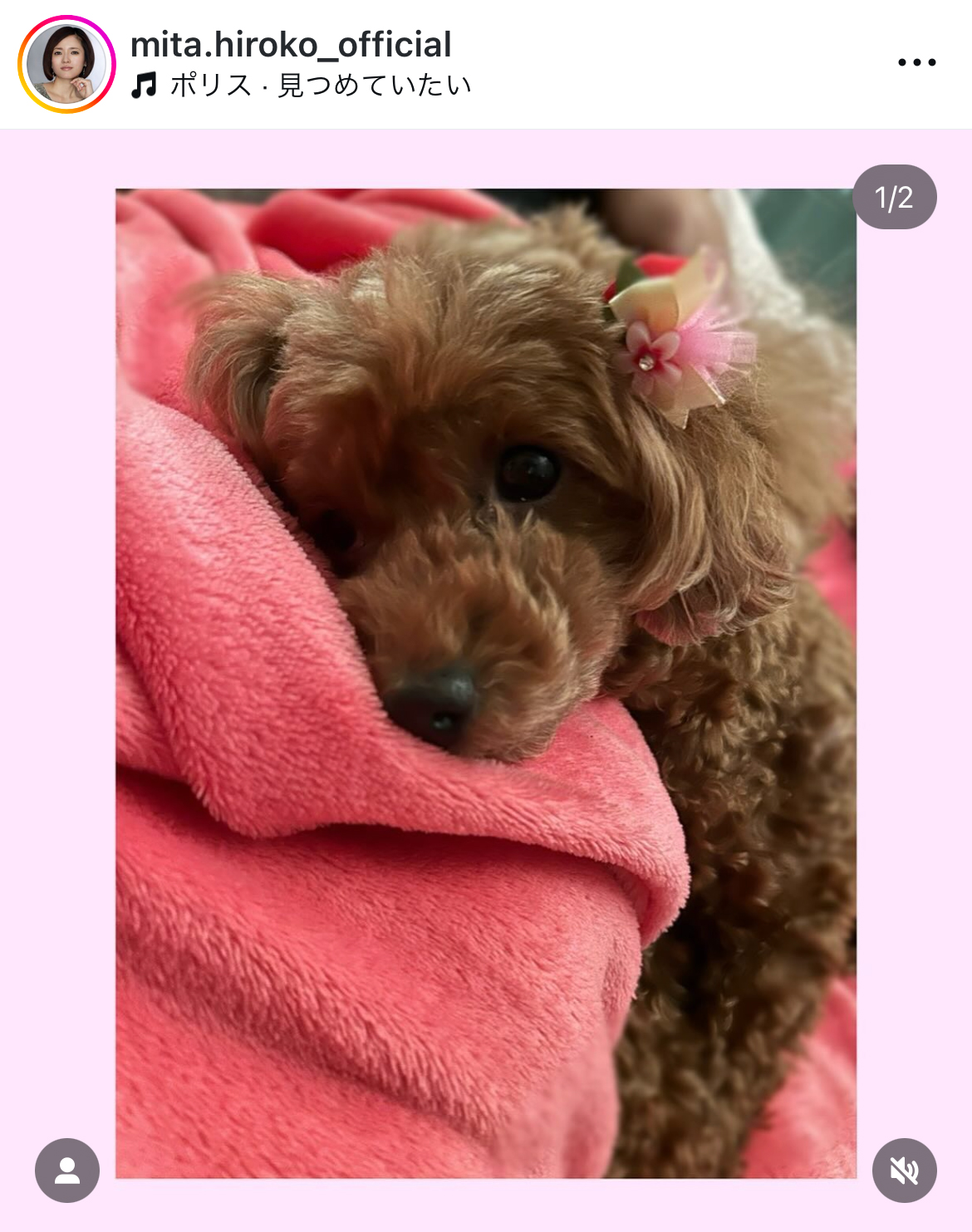 三田寛子のインスタグラムから