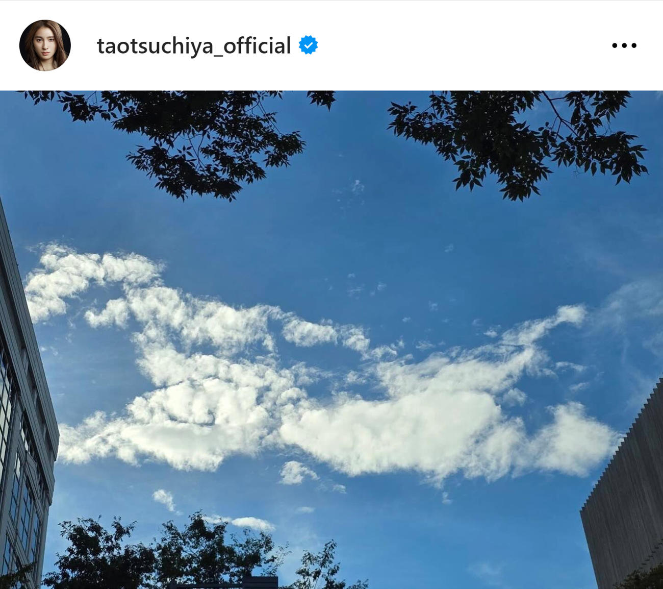 土屋太鳳のインスタグラムから
