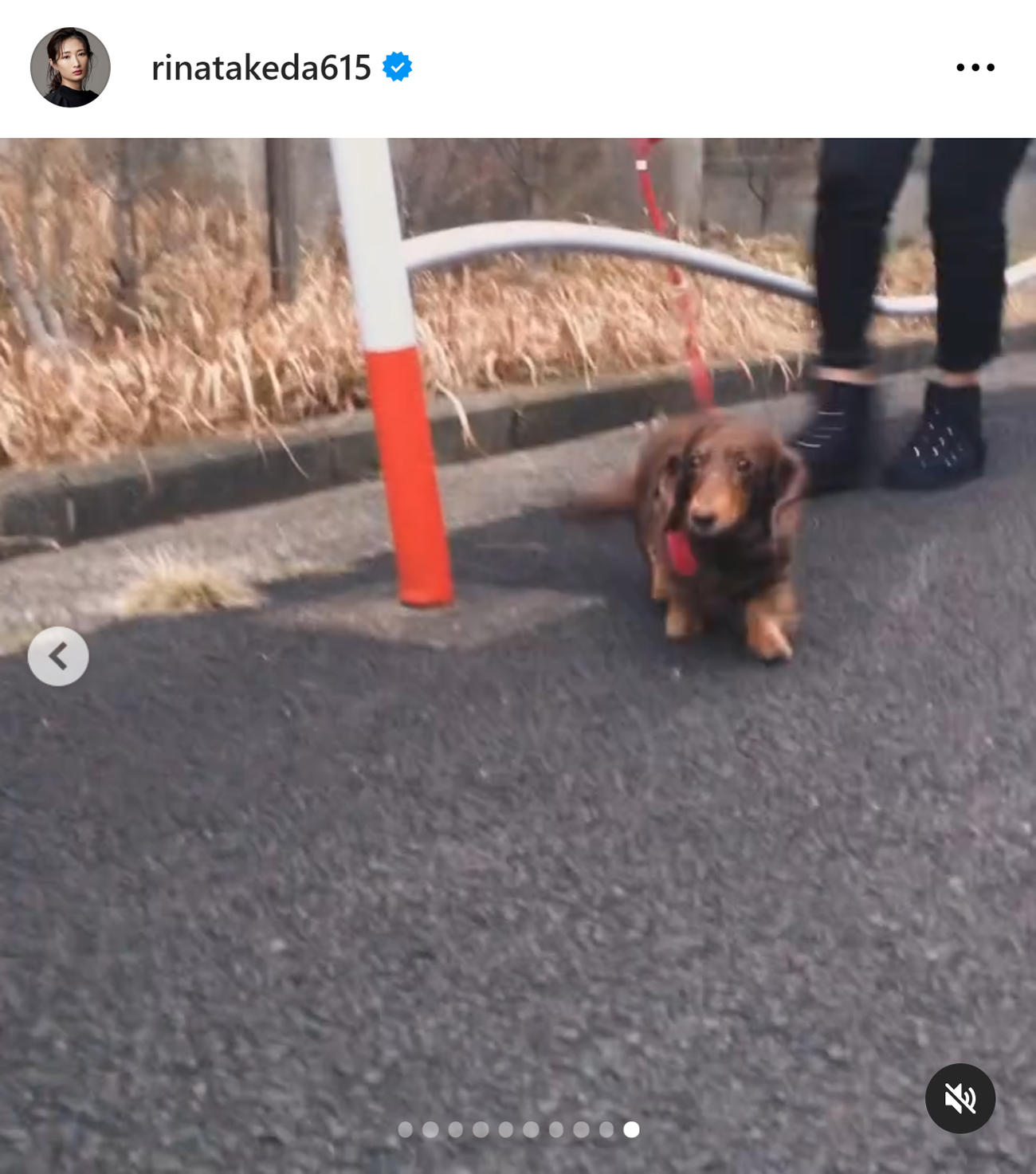 武田梨奈のインスタグラムから