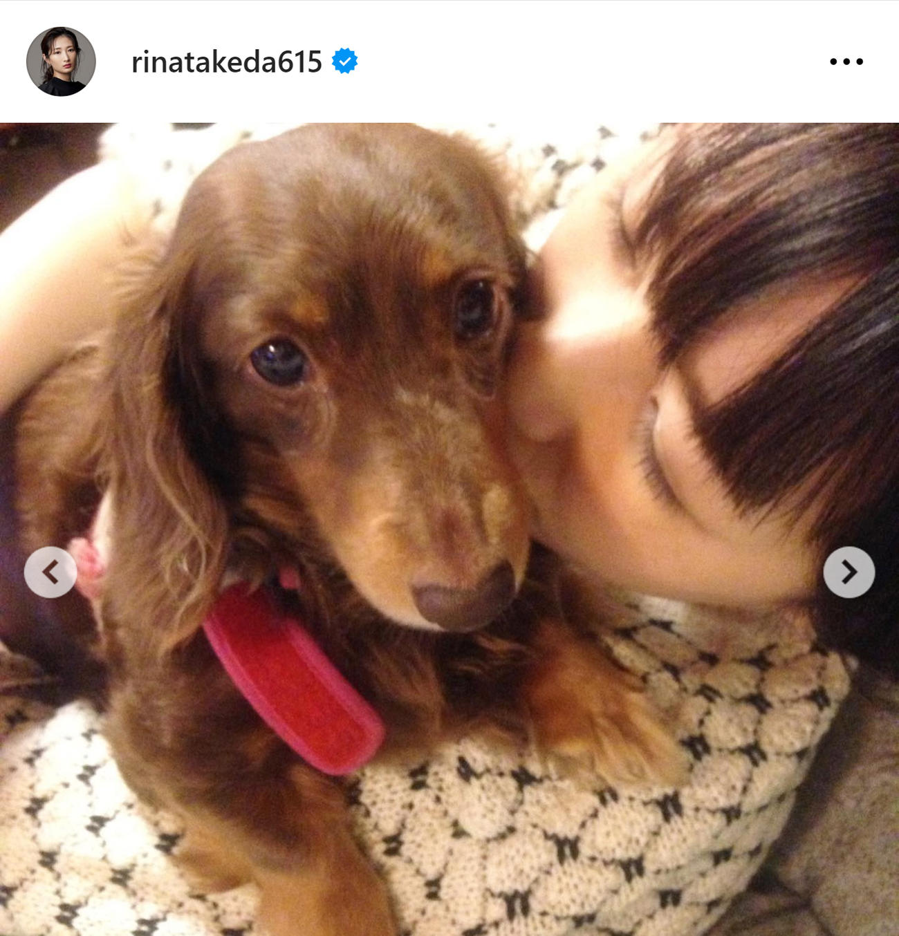 武田梨奈のインスタグラムから
