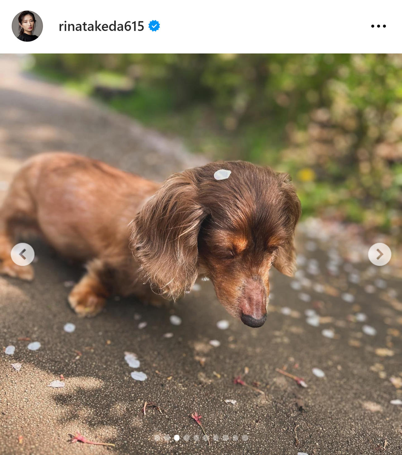 武田梨奈のインスタグラムから