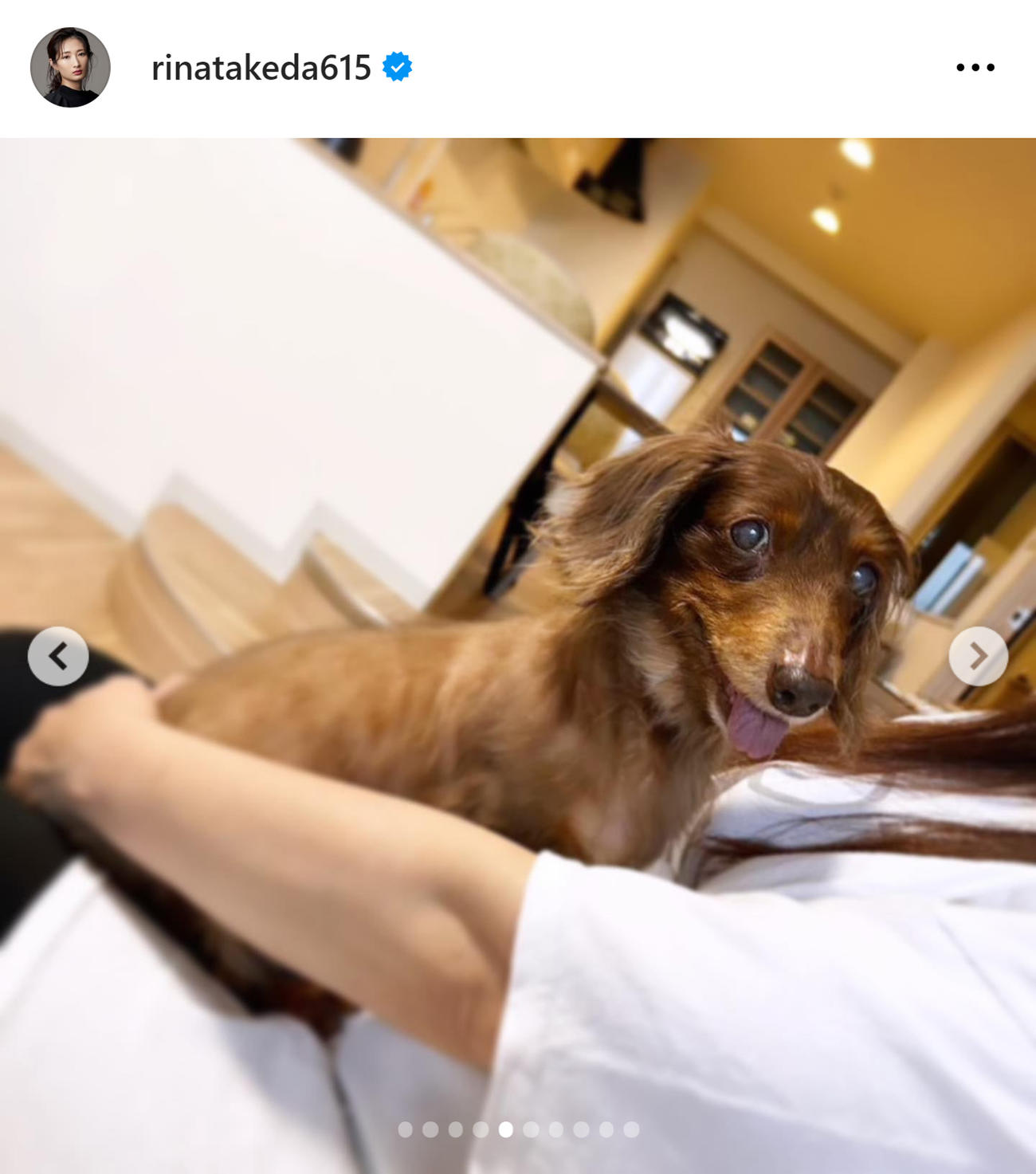 武田梨奈のインスタグラムから