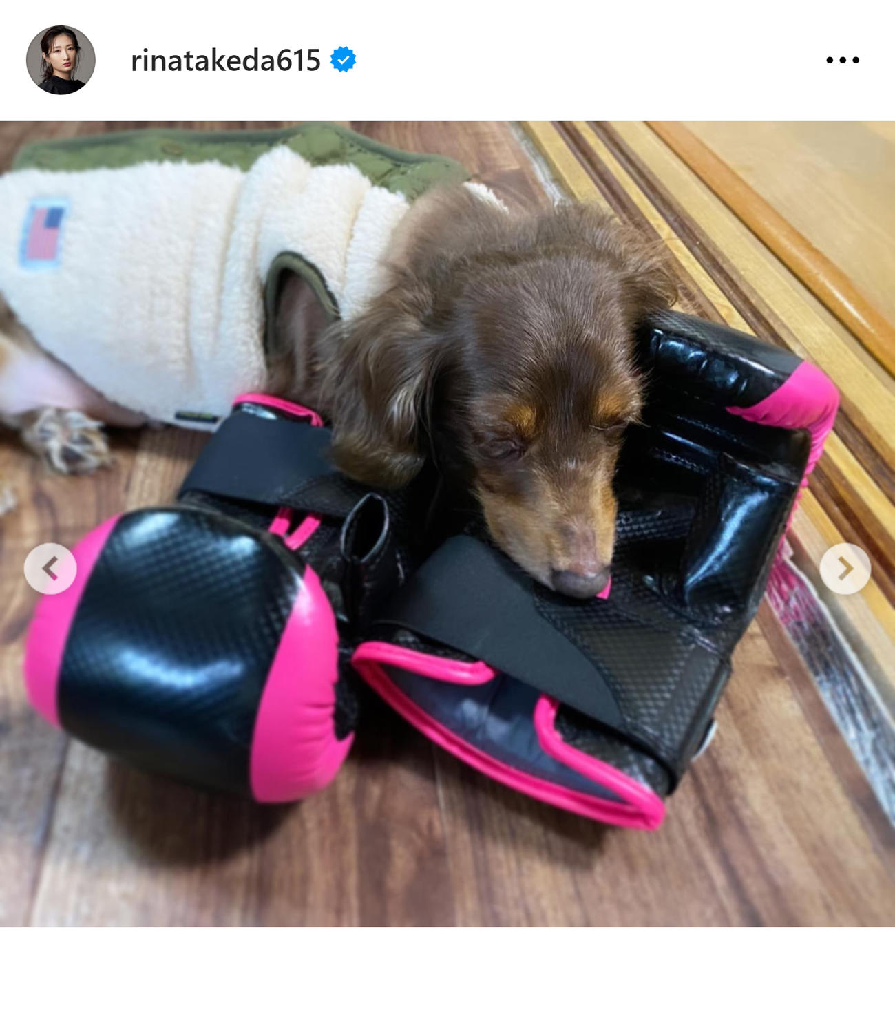 武田梨奈のインスタグラムから