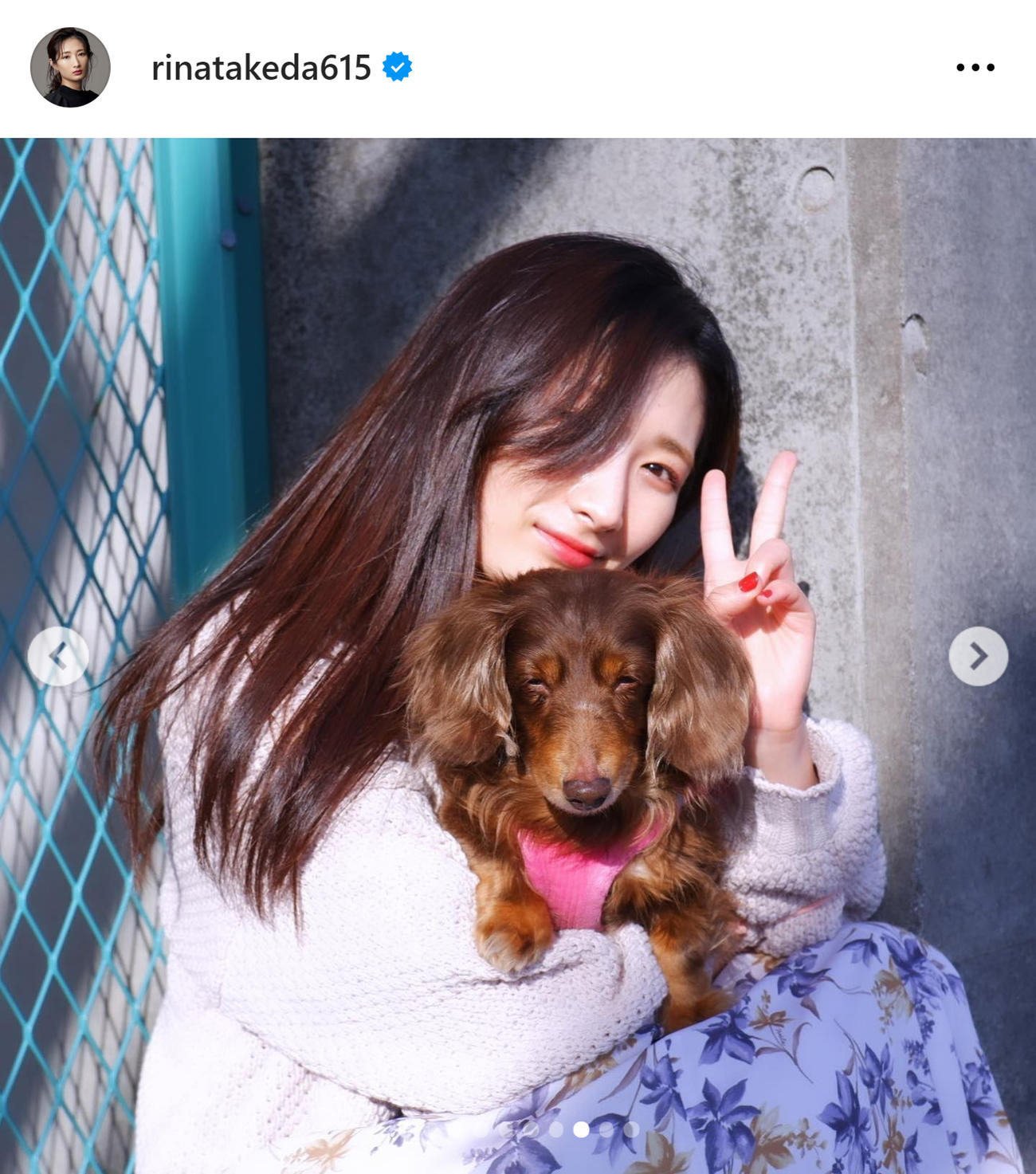 武田梨奈のインスタグラムから