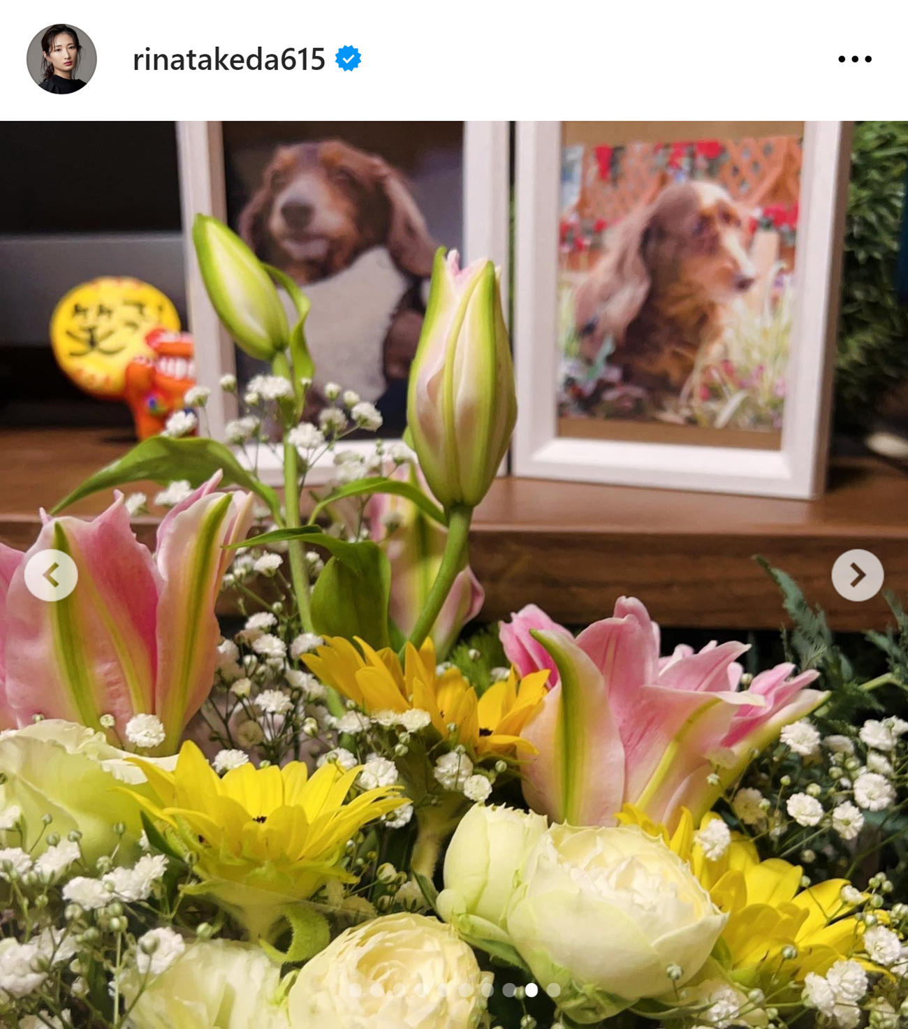 武田梨奈のインスタグラムから