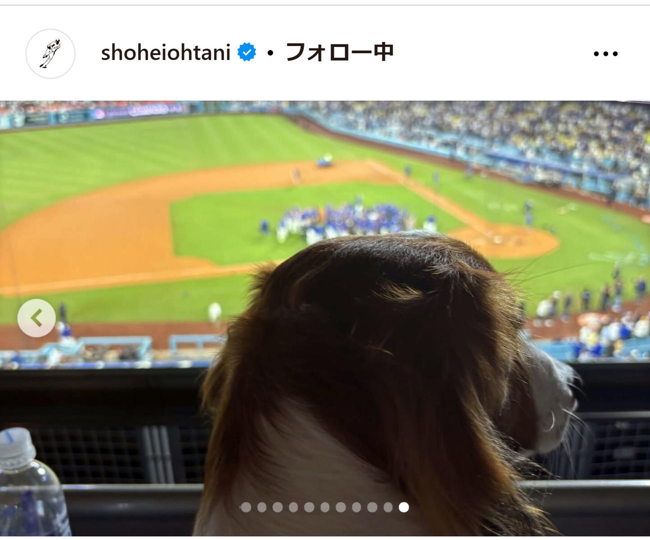 大谷翔平のインスタグラムから